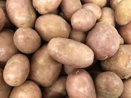 Macro photo potato. Stock photo raw potatoes background