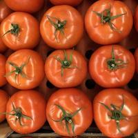 Macro photo red tomatoes. Stock photo fresh vegetables red tomato background