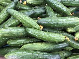 Macro photo green fresh cucumbers. Stock photo vegetable  green cucumber background