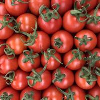 Macro photo red tomatoes. Stock photo fresh vegetables red tomato background