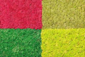 Proportional rectangles on a wall made of Scandinavian stabilized dry moss in multi-colored shades. photo