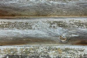 A fragment of a log wall made of weather-beaten old logs, in some places overgrown with gray moss. photo