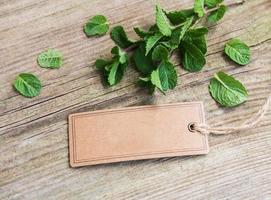 Green mint with old paper tag photo