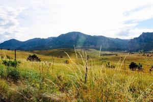 Natural Landscapes open space photo