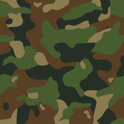 Camouflage Pattern Vector Art, Icons, and Graphics for Free Download