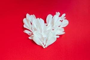 Heart made of white flower petals on red background. photo