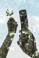 Abstract of hand holding the old mobile and holding seed on tree background photo