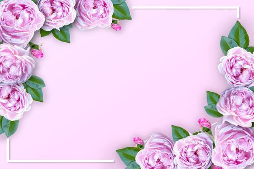 pink rose♡ Girls Youth '47 Pink New York Giants Rose MVP Adjustable Hat