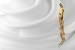 premium korean ginseng photo