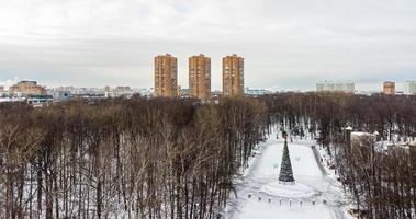 Bird's-eye view of the Christmas tree in the middle of the park photo