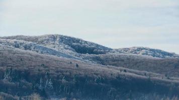 mountains and forest covered with snow photo