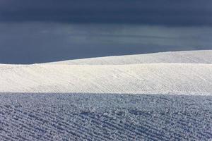 Winter Frost Saskatchewan photo