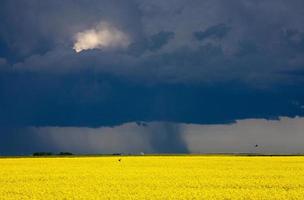 Storm Clouds Saskatchewan photo