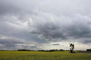 Oil and Gas Pump Jack photo