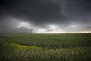 pradera nubes de tormenta foto