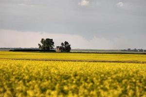 Storm Clouds Saskatchewan photo