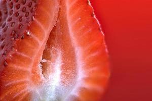 fresa macro rojo foto