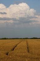 nubes de tormenta saskatchewan foto