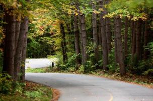 parque algonquin muskoka ontario road foto