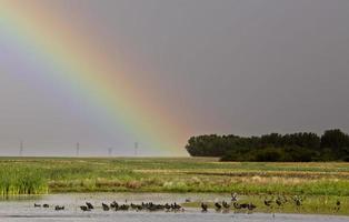 Storm Clouds Saskatchewan Rainbow photo