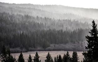 Cypress Hills Alberta Saskatchewan foto