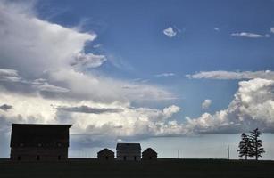 Prairie Scene Sillouette photo