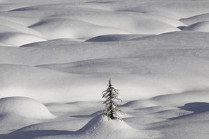 magnates de la nieve de montaña foto