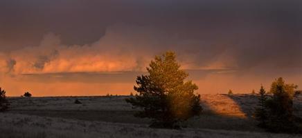 Cypress Hills Sunset photo