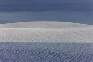 Winter Frost Saskatchewan photo