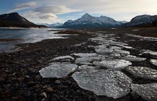 Abraham Lake Winter photo