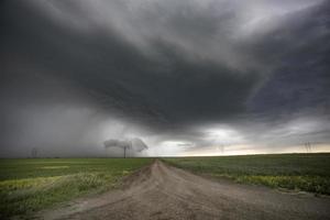 pradera nubes de tormenta foto