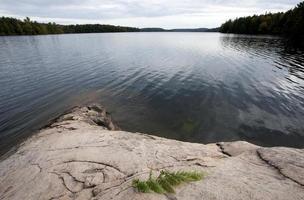 algonquin park muskoka ontario lago desierto foto