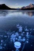 Abraham Lake Winter photo