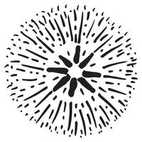 Starburst, sunburst  hand drawn. Design Element Fireworks Black Rays. Comic explosion effect. Radiating, radial lines. vector