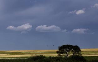 Storm Clouds Prairie Sky photo