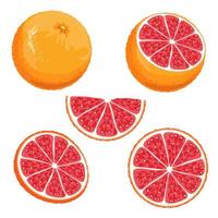 Set of parts of a red orange. Whole, half, slice and slice of Sicilian orange isolated on white background. vector