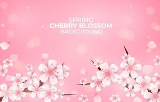 Background of Spring Cherry Blossom