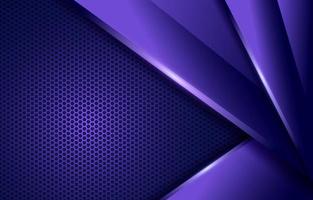 Hexagon Purple Background vector