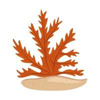 underwater seaweed, aquatic marine algae plant vector