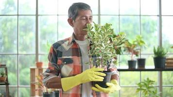 un empresario senior que trabaja con una cámara presenta plantas domésticas durante la transmisión en vivo en línea en casa, vendiendo concepto en línea video