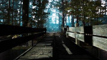 old wooden bridge over a small stream in a park photo