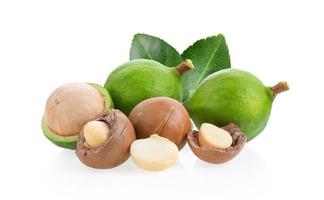 macadamia nuts with leaf isolated on white background. photo