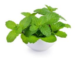 mint leaf in the bowl on white background photo