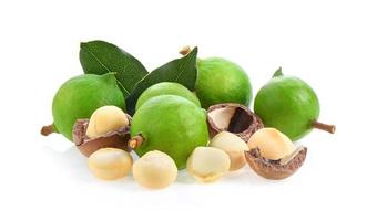 macadamia nuts with leaf isolated on white background. photo