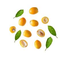 fresh date palm isolated on white background photo