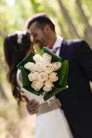 Just married couple in poplar background photo