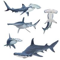 Shark vector character animal illustration set