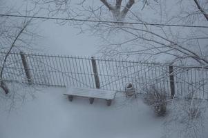 Snow-covered city, trees, animals when it snowed photo