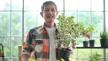 A senior man entrepreneur working with camera presents houseplants during online live stream at home, selling online concept video