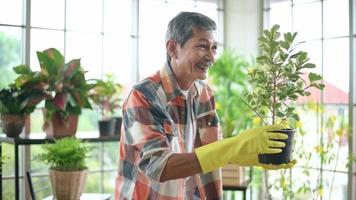 un entrepreneur senior travaillant avec une caméra présente des plantes d'intérieur lors d'une diffusion en direct en ligne à la maison, vendant un concept en ligne video